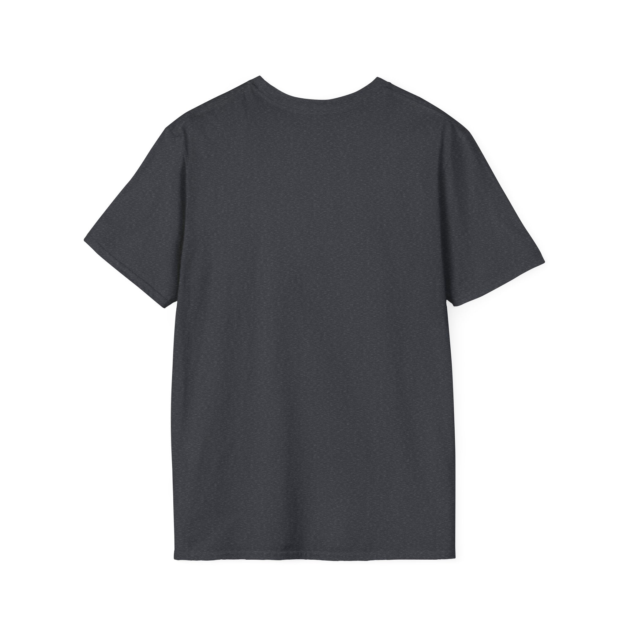 Questioning Cat T-shirt